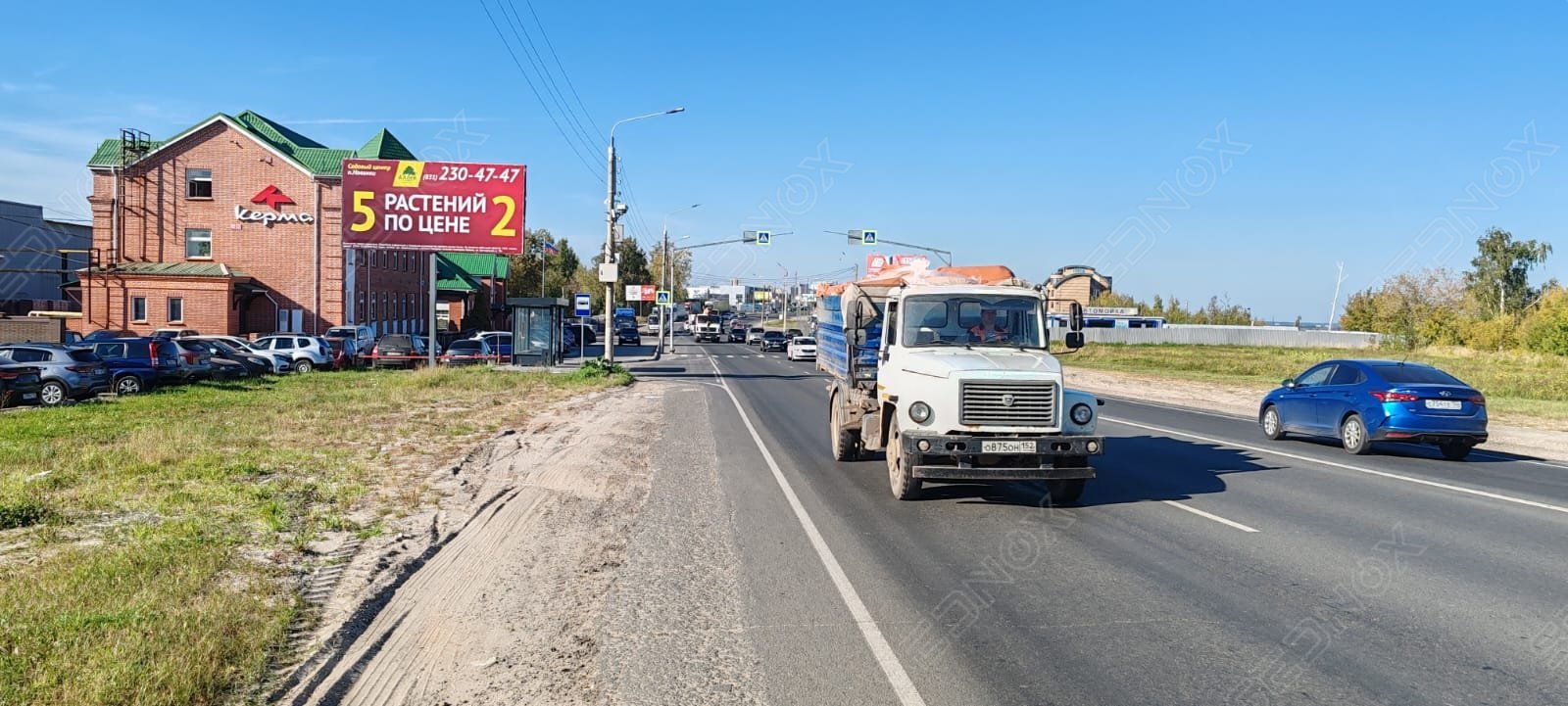 Щ149 - фото 2